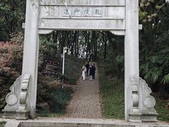 -苏州上方山国家森林公园