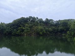 -王借岗森林公园
