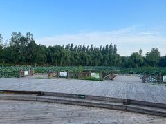 -西安浐灞国家湿地公园