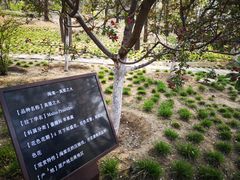 -海棠花溪(元大都城垣遗址公园)