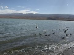 -青海湖国家重点风景名胜区
