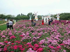 -松山湖梦幻百花洲