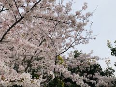 -闵行体育馆-停车场