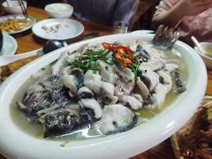 水库鱼-杨厝六十六农庄农舍(杨厝路店)