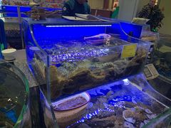 -新海渔港·胶东海鲜家常菜·家宴(奥体中心店)