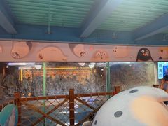 -海合安青岛极地海洋公园