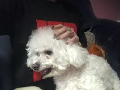 -Pink You美甲美睫纹绣定制中心