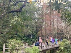 -广州兰圃