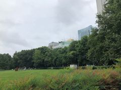 -绵阳人民公园(涪城区)