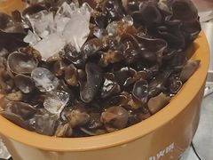 -龍歌自助小火锅(芝罘万达店)