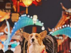 -豫园
