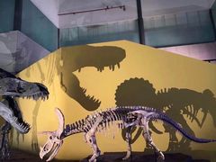 -湖南省地质博物馆