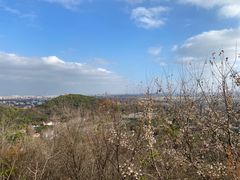 -上海佘山国家森林公园西佘山园