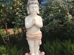 -龙口南山旅游景区