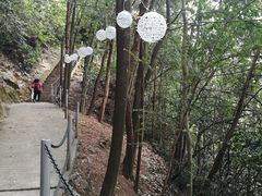 -浏阳石牛寨风景区
