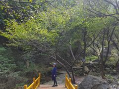 -少华山国家森林公园