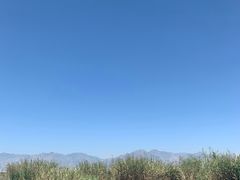 -哈素海