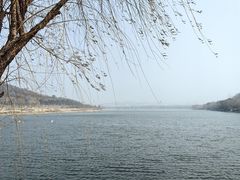 -羊山湖公园