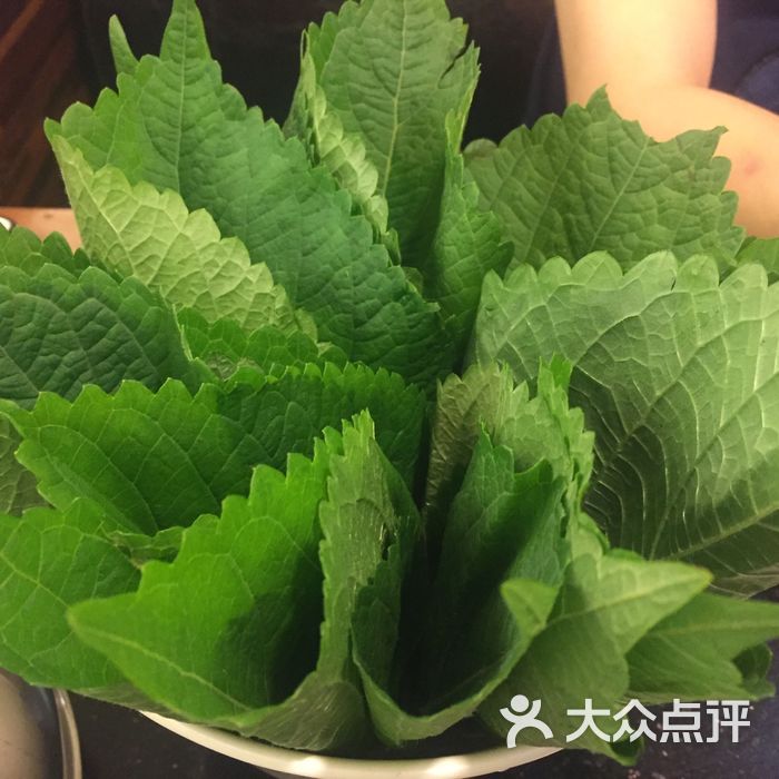 韩味园果木炭烤鲜肉苏子叶图片-北京韩式烤肉-大众点评网