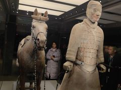-秦始皇帝陵博物院-丽山园