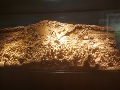 -上海市龙华烈士陵园