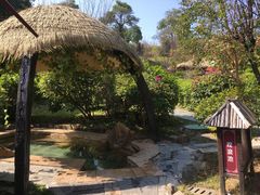 -森波拉火山温泉