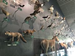 -中国湿地博物馆