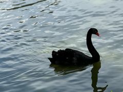 -广州长隆野生动物世界