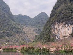 -靖西鹅泉风景区
