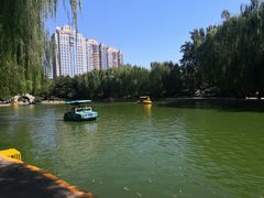-团结湖公园