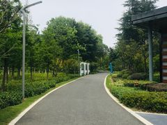 -昆山城市生态森林公园