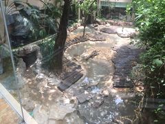 长隆酒店麒麟中餐厅-麒麟中餐厅·经典粤菜·地道菜式老字号(广州长隆酒店)