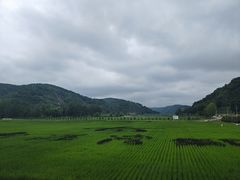 -南泥湾风景区