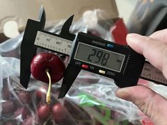 -7fresh七鲜(大族广场店)