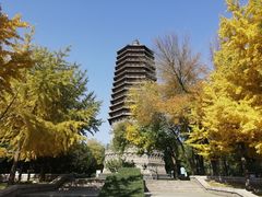 -玲珑塔公园