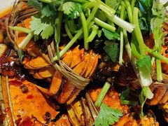 -杨氏青龙虾·羊蝎子(托乐嘉店)
