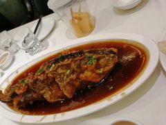 老济南糖醋鲤鱼-金春禧(世茂国际广场店)