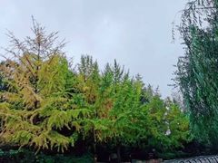 -成都市活水公园