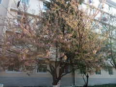 -陕西师范大学(雁塔校区)