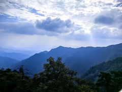 -天目山大树王景区