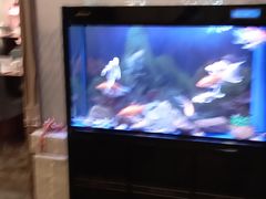 -宜昌富力皇冠假日酒店·咖啡1号西餐厅