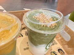 -油梨树 AVOCADO TREE(亮马桥店)