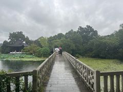 -西湖外事游船(花港观鱼码头)