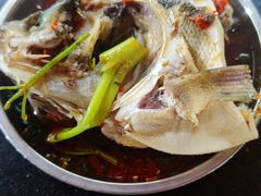 -老杨砂锅鱼庄