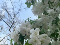 -元大都城垣遗址公园