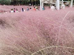 -牛岗山公园