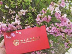 -哈尔滨师范大学(松北校区)