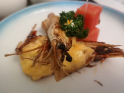 -弗蕾亚·和月月子调理院(东湖店)