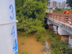 -宝安西湾红树林湿地公园