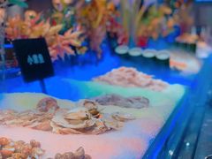 -韩京炭火烤肉自助料理(柯桥万达店)